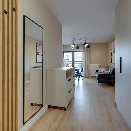 Rentplanet - Dwie Motlawy Appartement Gdańsk